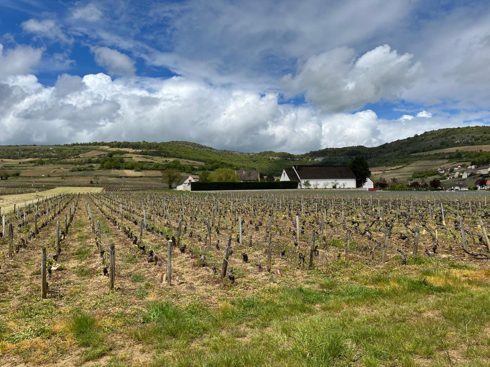 Camping De Santenay Сантене Экстерьер фото